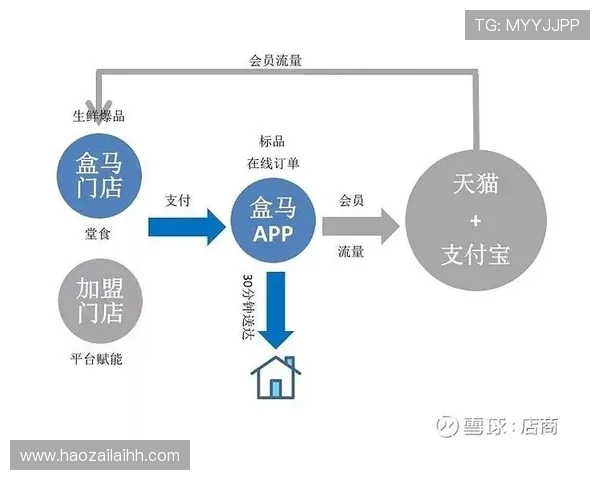 深度分析深圳篮球队运营策略与市场推广的成功之道